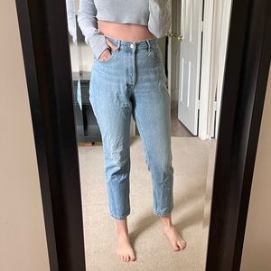 Everlane The ’90s Cheeky Jean